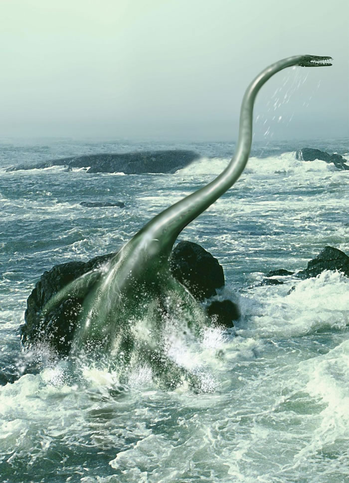 �����ҵ���Ƶ�������ϼ���С������7000����ǰ�ġ���˹��ˮ�֡�����������