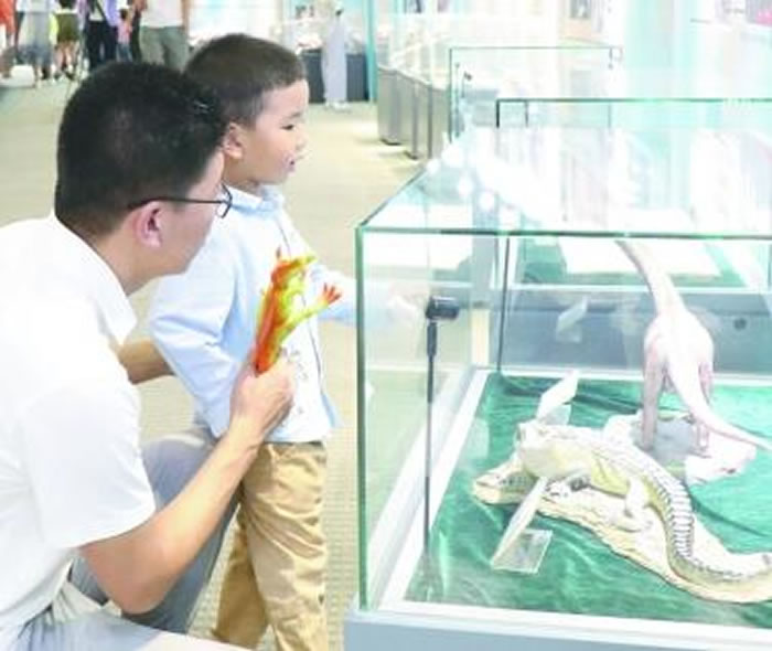 ��׷Ѱ�����ټ����ػ�Զ��������������ع黯ʯչ�������������ﲩ��������Ļ