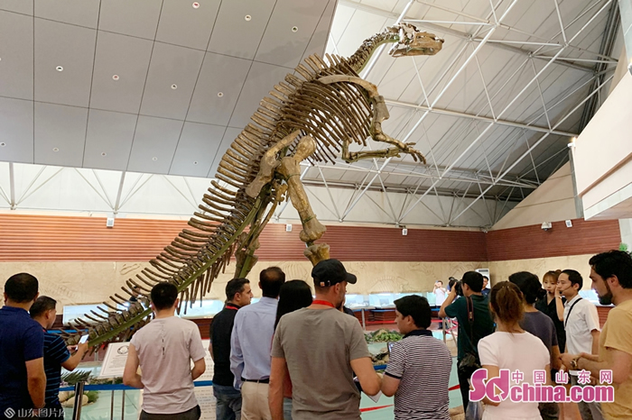 ��ý����������׷Ѱ�����㼣 ̽��Զ�š����ء�