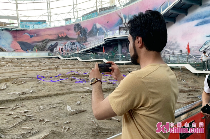 ��ý����������׷Ѱ�����㼣 ̽��Զ�š����ء�