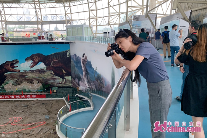 ��ý����������׷Ѱ�����㼣 ̽��Զ�š����ء�