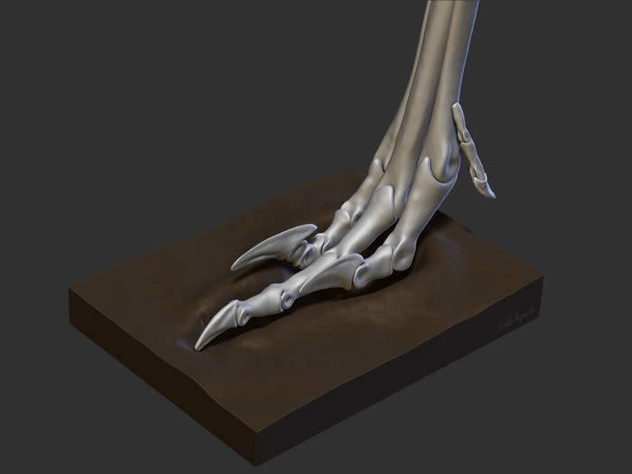 ��ʳ�����Vespersaurus paranaensisӵ�еĿ���ֺצ����������Ѹ����������