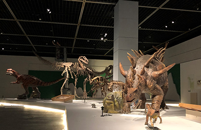 ���ҴӺ����������㵽������֮�á�������չ�����������һ����չ����ʽ��Ļ