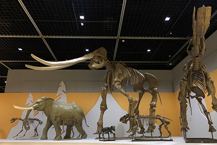 ���ҴӺ����������㵽������֮�á�������չ�����������һ����չ����ʽ��Ļ