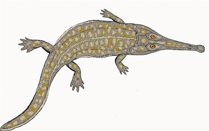 �����������ͬ�е�Զ�������ද����һЩ�ǡ���ʳ�����ߡ�