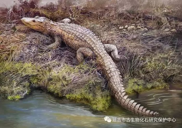 �Ӽ�����ԭͼ�����ڴ�棩