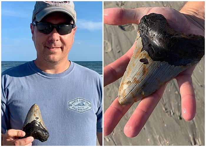 �������������������Ӻ�̲ɢ�����ⷢ��ʷǰ�޳������ݻ�ʯ