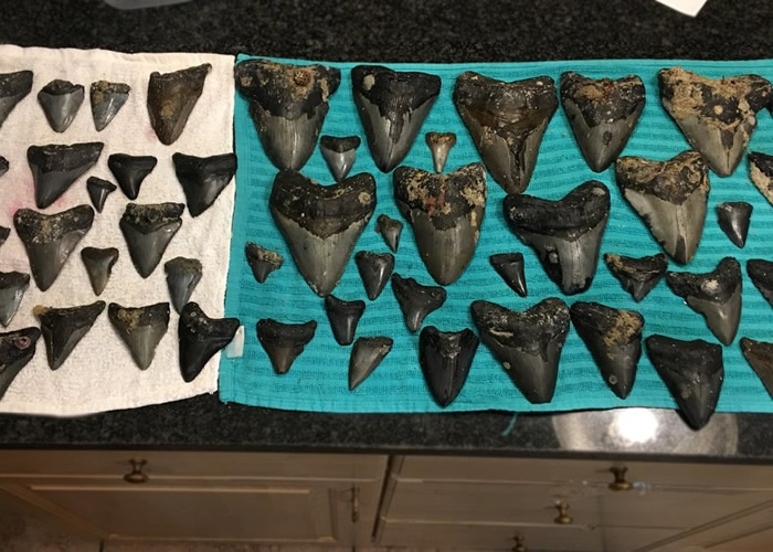 �������������Ƿ��־޳������ݵ��ȵ㡣