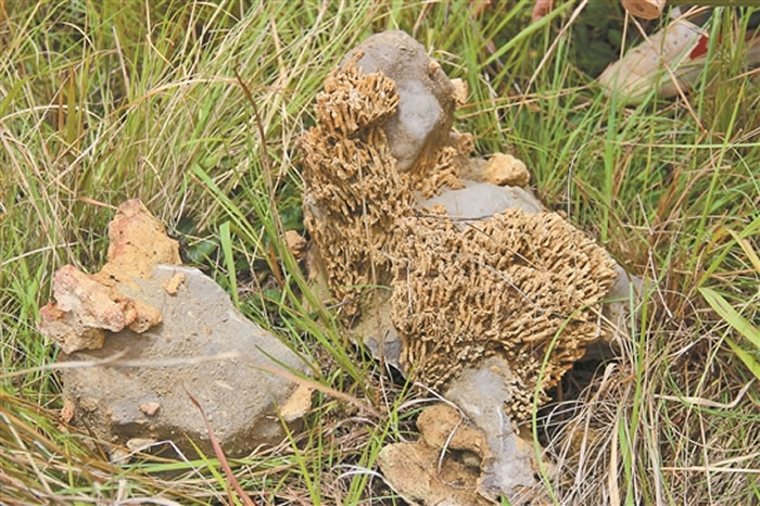 ���Ͻ�ˮ����3����ǰ��������ﻯʯ��