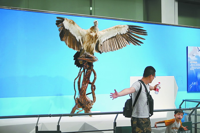 �߽�������Ȼ�����̽�������еİ��ء�