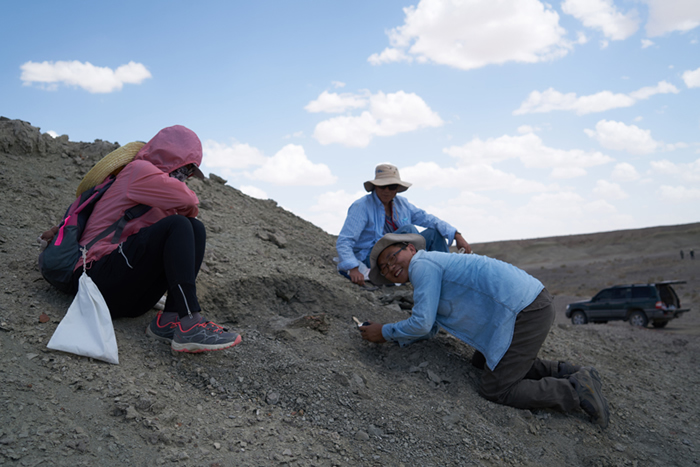 �ܳ�����Ұ�⿼��