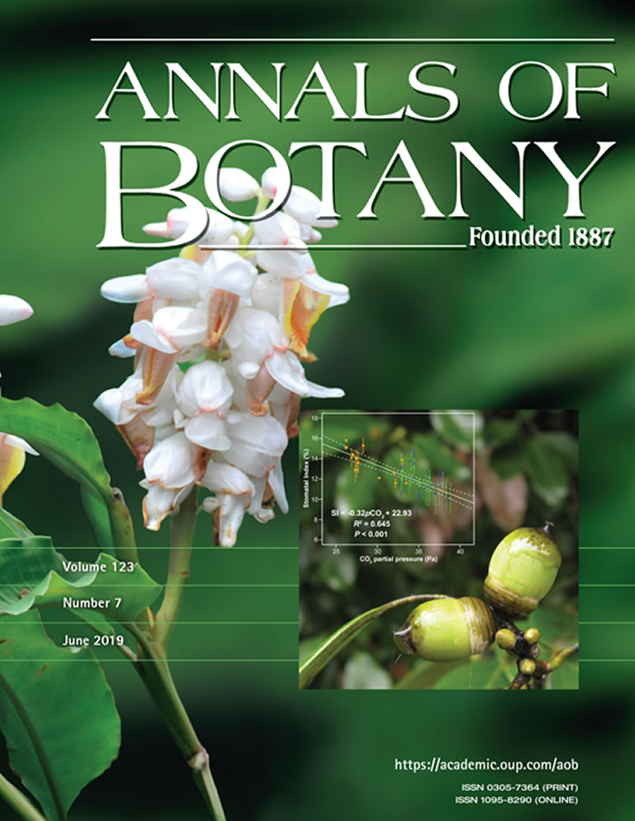 古大气二氧化碳浓度浓度多高?青冈植物化石藏答案