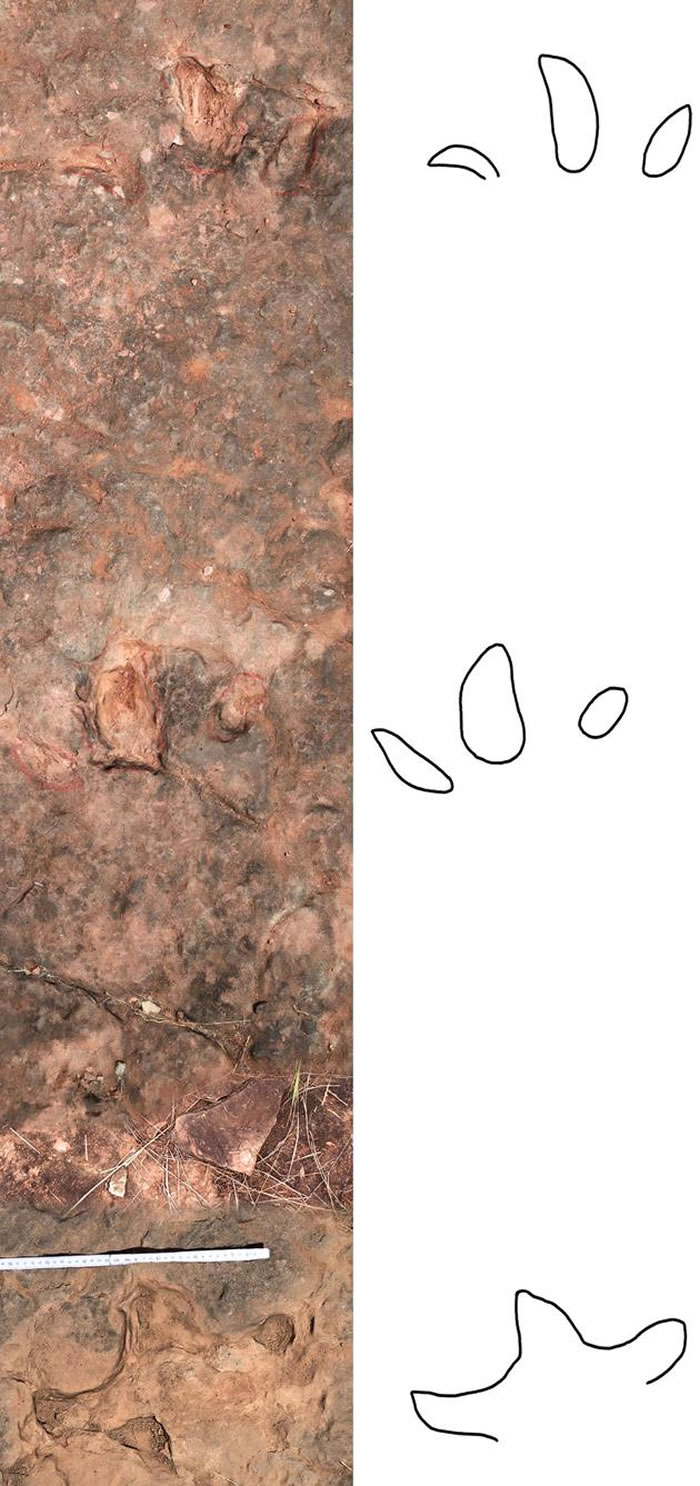 �й�����»�ᷢ�ֵ����ϻ�ʯ�������㼣��ģʽ�걾