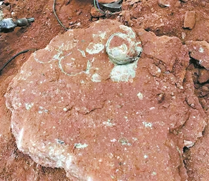 �㶫ʡ��Դ��Сѧ���ӱ��������ⷢ��һ��6500����ǰ���Ѽ����ڡ�����������ʯ