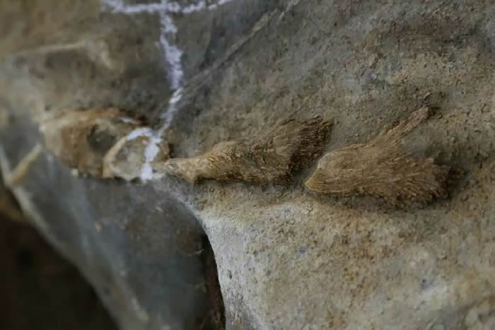 ��ӽ�ˮ���������ﻯʯ��