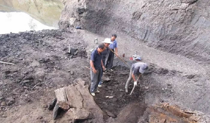 ��ͨˮ���ӹ����ﻯʯȺ��ַ