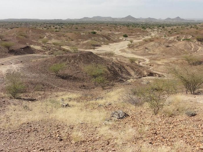 �����Ƿ���420����ǰ������ﻯʯNanopithecus browni ��ı�����Խ�����֪