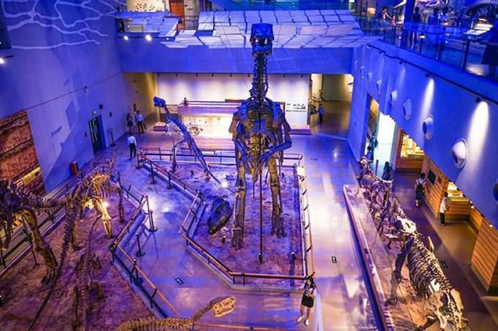 ����Ͷ�߹㶫ʡ����ݲ��ú��������� �ƹ˿����ϵ�