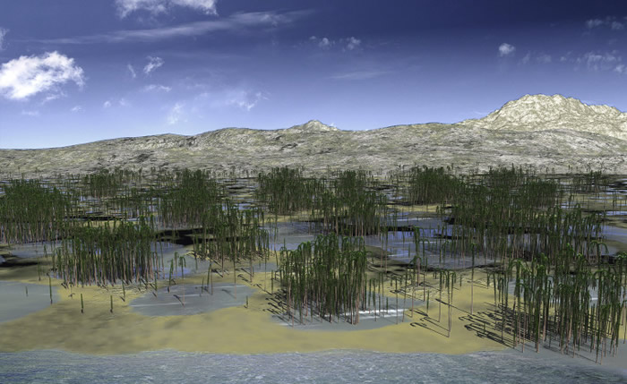 ����ʡ�º��򸽽�����������������ɭ��