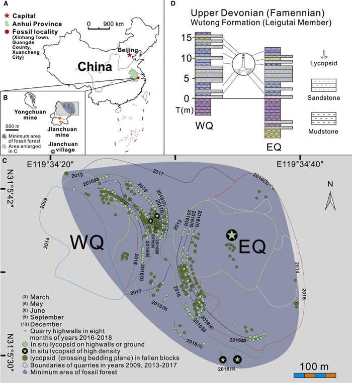 ����ʡ�º��򸽽�����������������ɭ��