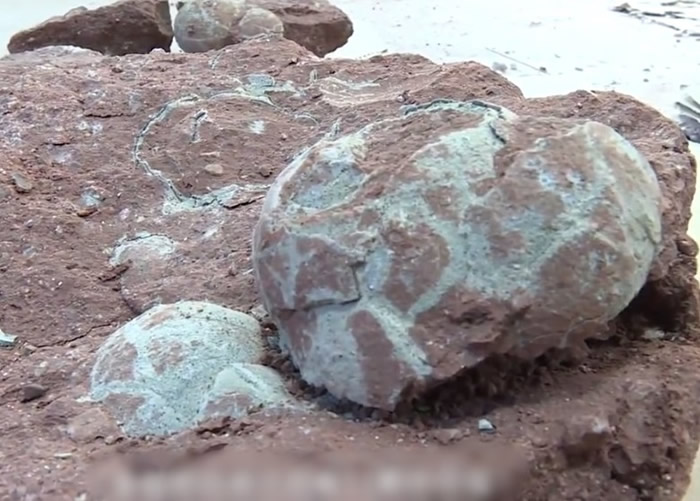 ���˴����顶����Դ�п��������ż������������������������棨�ݰ�����