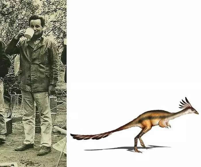 �������ð��������ֵĿ��ϰ�������˹����ͼƬ��Դ��ά���ٿƣ�