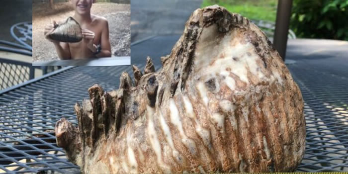 ����С�к��ڶ������ݶȼ�ʱ���ⷢ�����������ݻ�ʯ