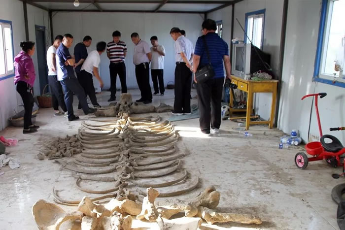 �����췢�����ɹŵ�����������������ëϬ������ʯ