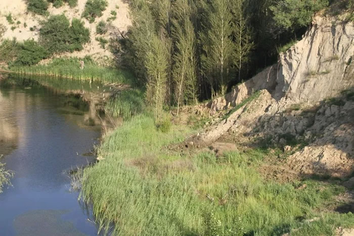 �����췢�����ɹŵ�����������������ëϬ������ʯ