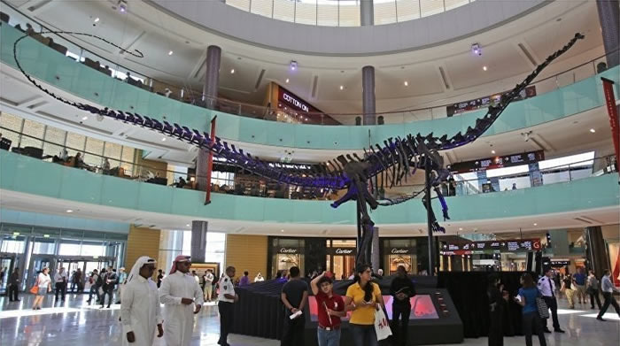 1.55����ǰ�����Ǽܽ������ڰ�������������