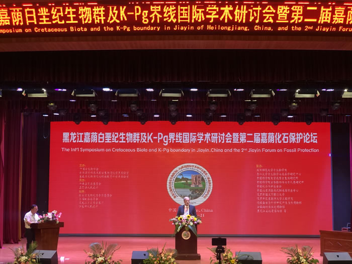 ѼȺK-Pg߹ѧֻߵڶʯ̳Ļʽֳ»Ո 