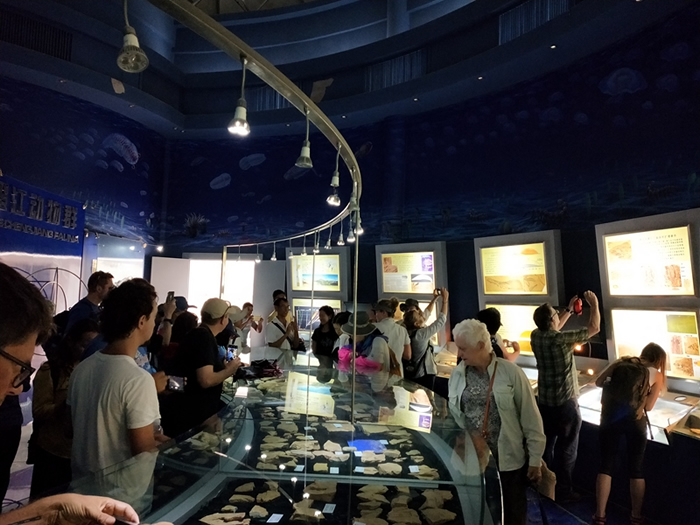 第15届早期脊椎动物国际学术研讨会考察澄江古生物研究站