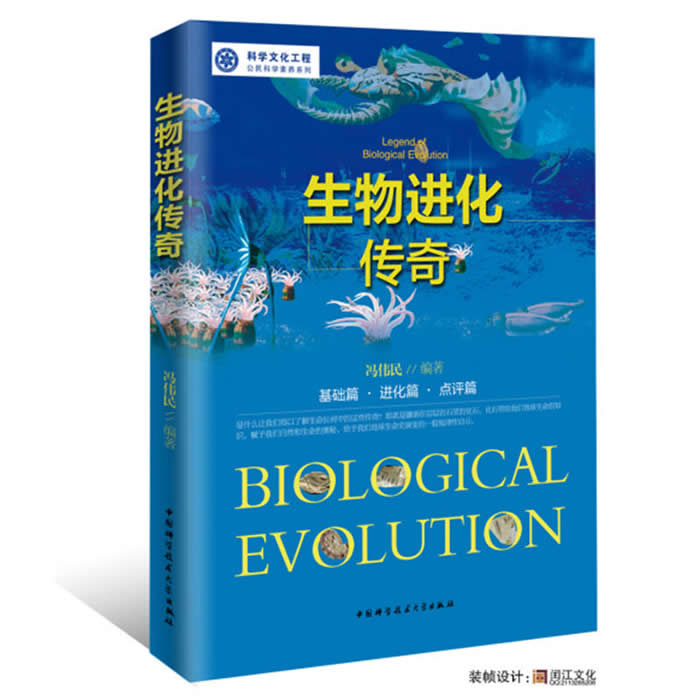 ������������桷