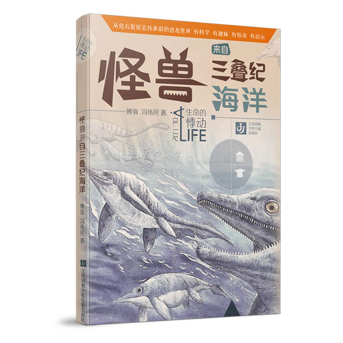 ���������������ͺ���