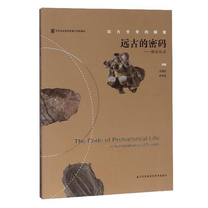 ��Զ�ŵ����롪�������ʯ��