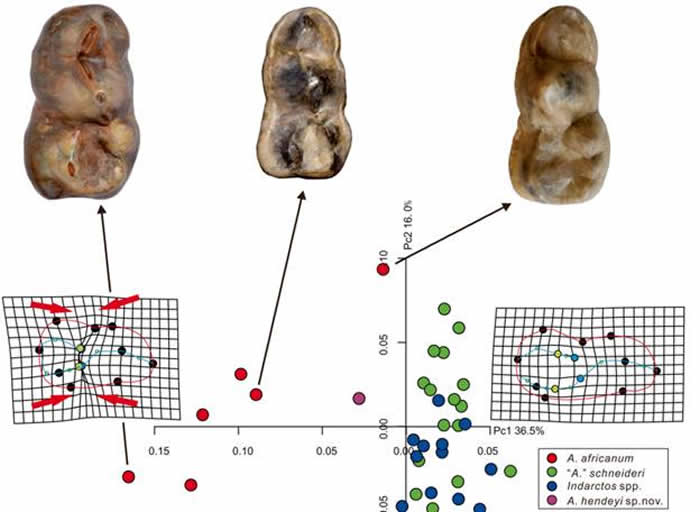 ӡ���ܺͽ������ݽṹ���֣�������� ��ͼ��