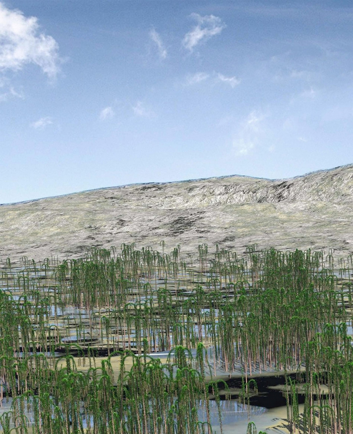 ���ͼ��ʾ���º�ɭ���еİ�С���ֿ����������ڽ����������󻷾�֮�С� IMAGE BY DEMING WANG