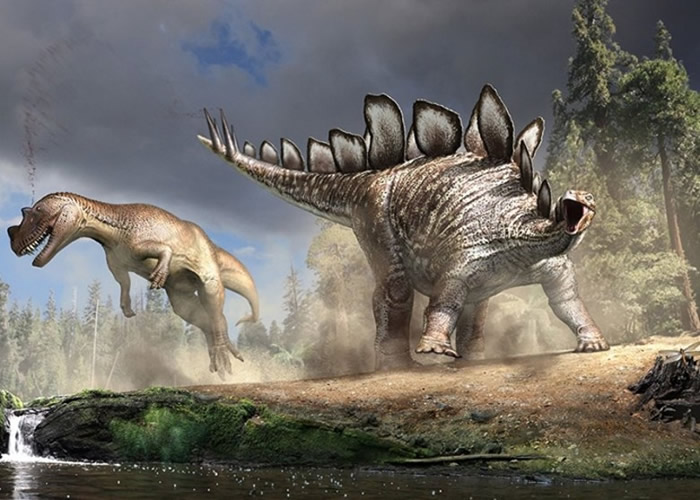 ������������������