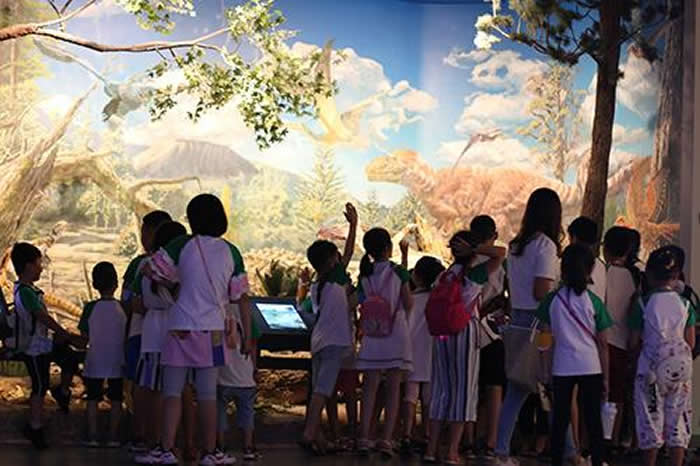 ������Ȼ����ݻ����������棺�����Ļ�ʯ֮��