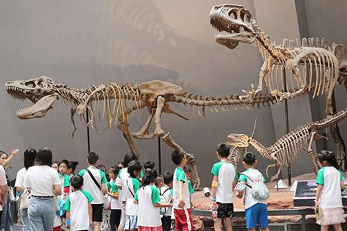 ������Ȼ����ݻ����������棺�����Ļ�ʯ֮��