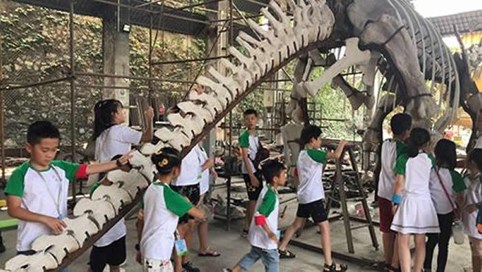 ������Ȼ����ݻ����������棺�����Ļ�ʯ֮��