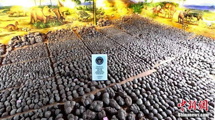 ��Դ����������ݵĹݲؿ�����