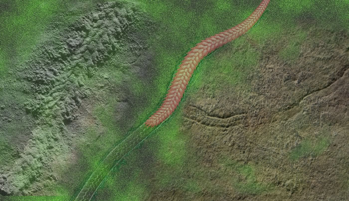 ��״�����ʵ�壨�󣩡��ż����ң��ͻ�ʯ��ԭ���У���