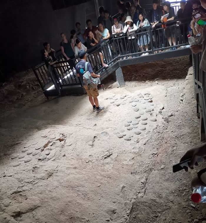 �������ι�����ɽ��������ʯȺ