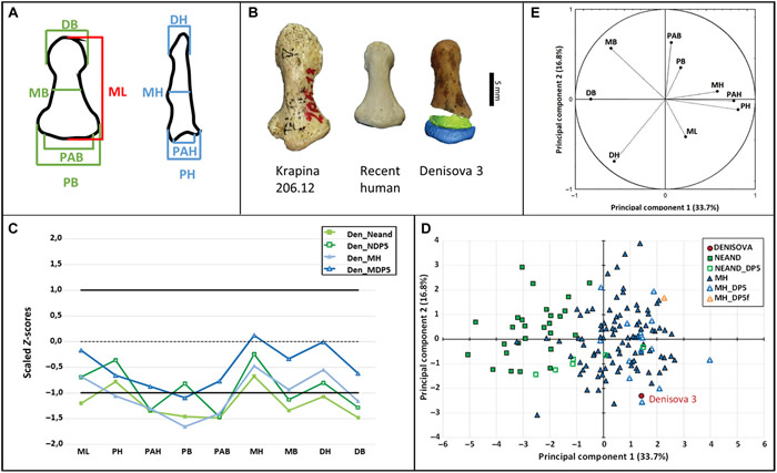 ���������˵�ָ�Ǳ��ᰲ�����˵ĸ��������ִ���ָ��