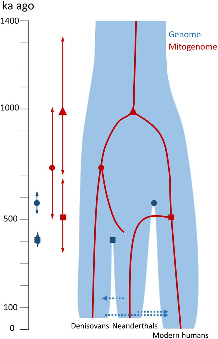 ���������˵�ָ�Ǳ��ᰲ�����˵ĸ��������ִ���ָ��