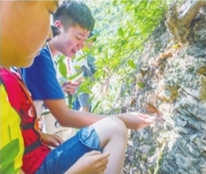 ����������۲�ɽ����¶���Ҳ㣨���� ��˧ �㣩