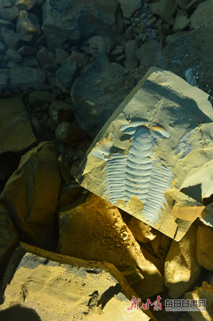 �ν���ʯ��������Ȼ�Ų�����������׿�г�Ч