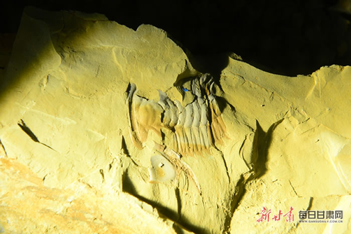 �ν���ʯ��������Ȼ�Ų�����������׿�г�Ч