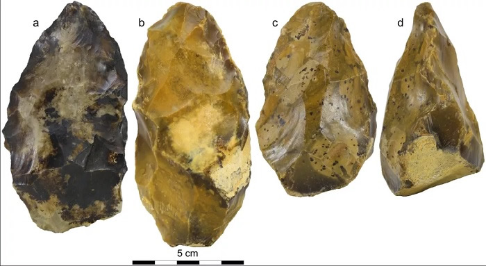 �����ָ���C��D ͼΪͬһ���Ĳ�ͬ�档�����ԣ�Science Reports��via Cnet��